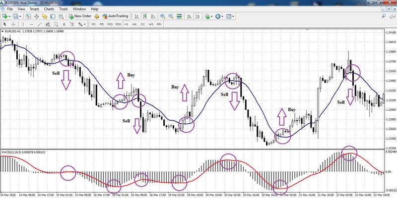 MACD + MA signals